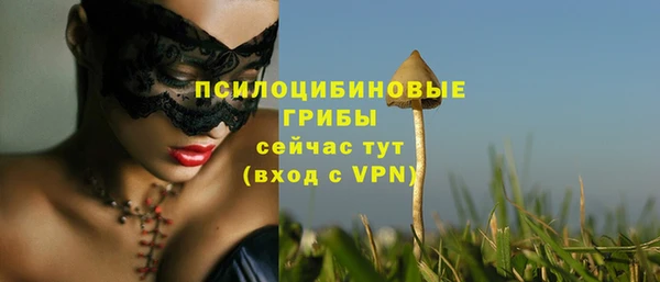 Альфа ПВП Армянск