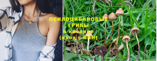 Альфа ПВП Армянск