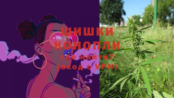 мет Арсеньев