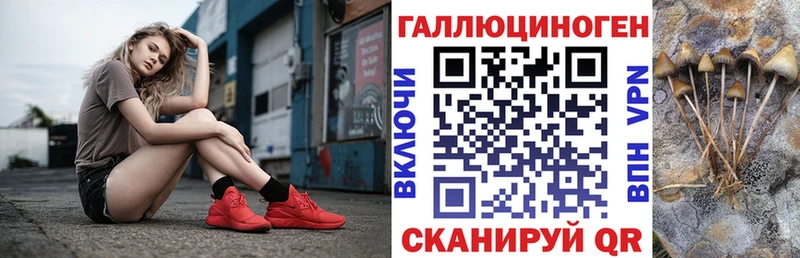 Псилоцибиновые грибы Psilocybe  ссылка на мегу зеркало  Спасск-Дальний 
