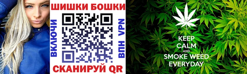 купить наркотики цена  Спасск-Дальний  mega маркетплейс  Шишки марихуана сатива 